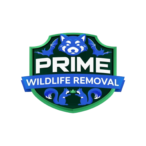 Midland Wildlife Removal